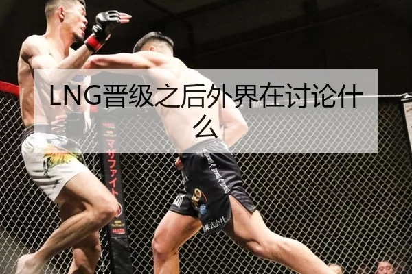 LNG晋级之后外界在讨论什么