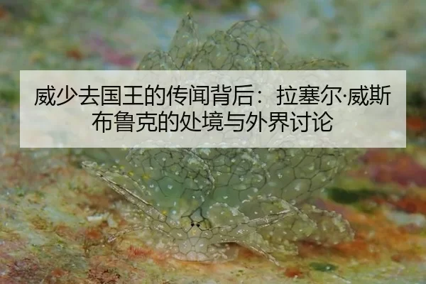 wei-shao-qu-guo-wang-de-chuan-wen-bei-hou-la-sai-er-wei-si-bu-lu-ke-de-chu-jing-yu-wai-jie-tao-lun-2-845.jpg